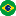 Brazil Flag